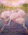 Flamands roses à l'étang de Leucate.