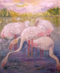 Flamands roses à l'étang de Leucate.